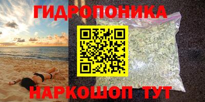 твердый Лесосибирск