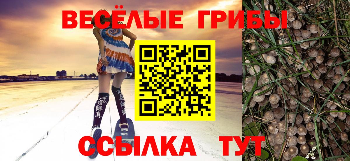 Галлюциногенные грибы мицелий Сергиев Посад