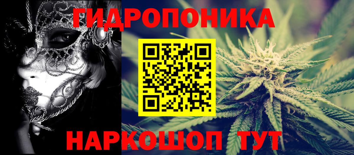 Шишки марихуана марихуана Сергиев Посад